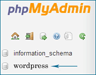 wordpress database in cpanel